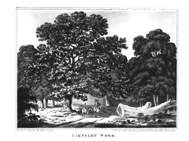 1793 - Barnsley Wood -C Tomkins