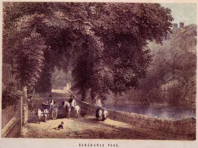1859 Bonchurch Pond